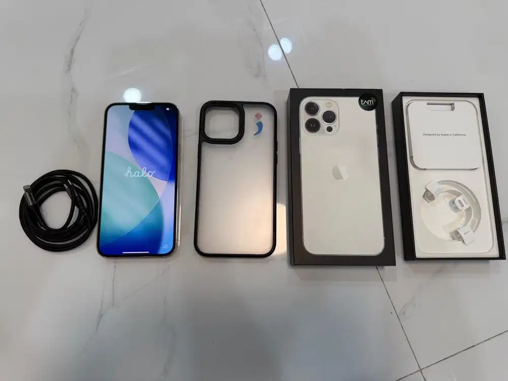 13Promax 1TB iphone ex Ibox pemakai langsung