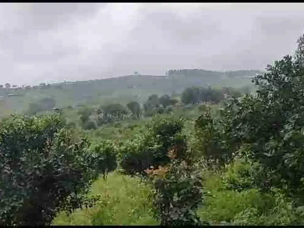 TANAH KEBON JERUK PRODUKTIF BUMIAJI BATU