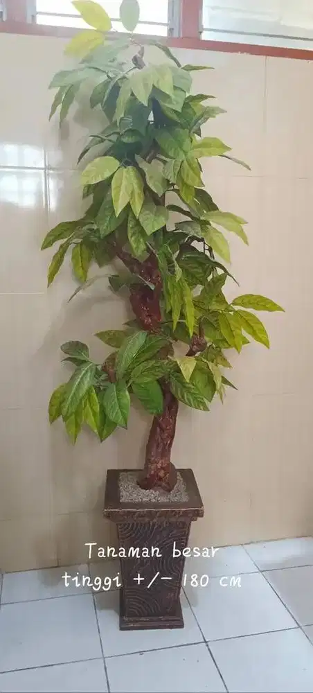 Tanaman artifisial untuk menambah ruangan lebih asri