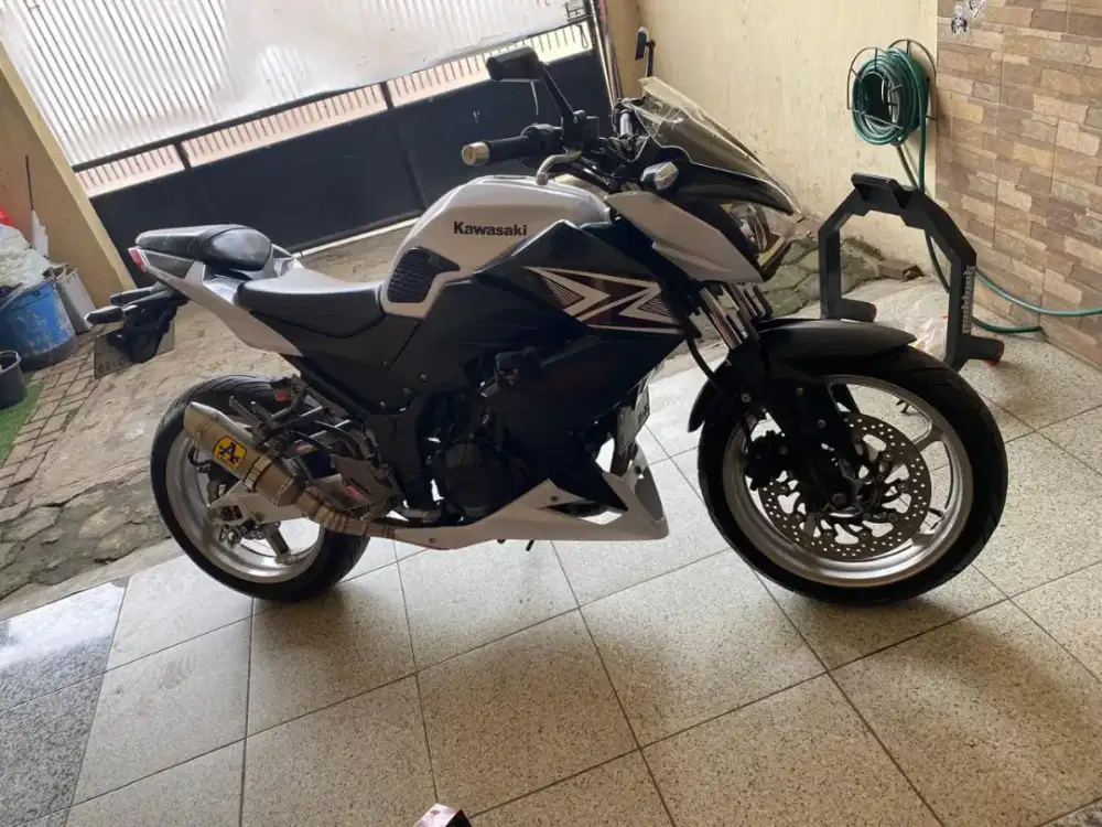 Kawasaki Z250 2013