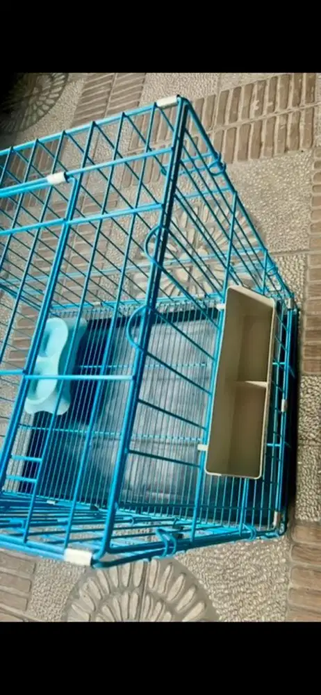 Kandang Anjing Octagon