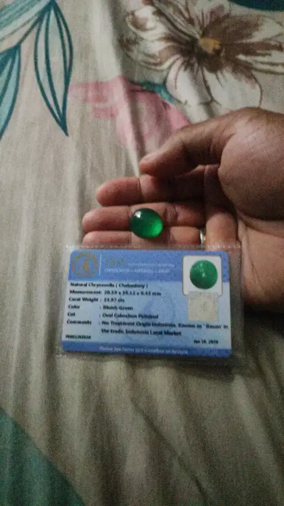 NATURAL BACAN HALMAHERA RAJANYA BACAN