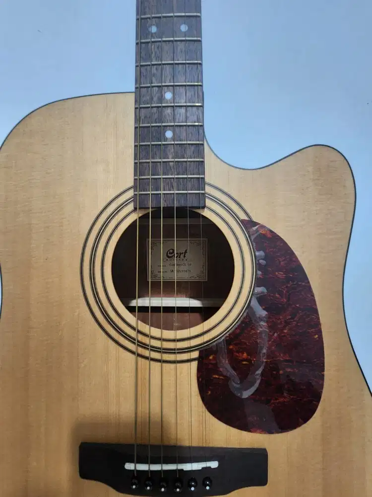 Gitar Akustik Cort Earth 60 CE