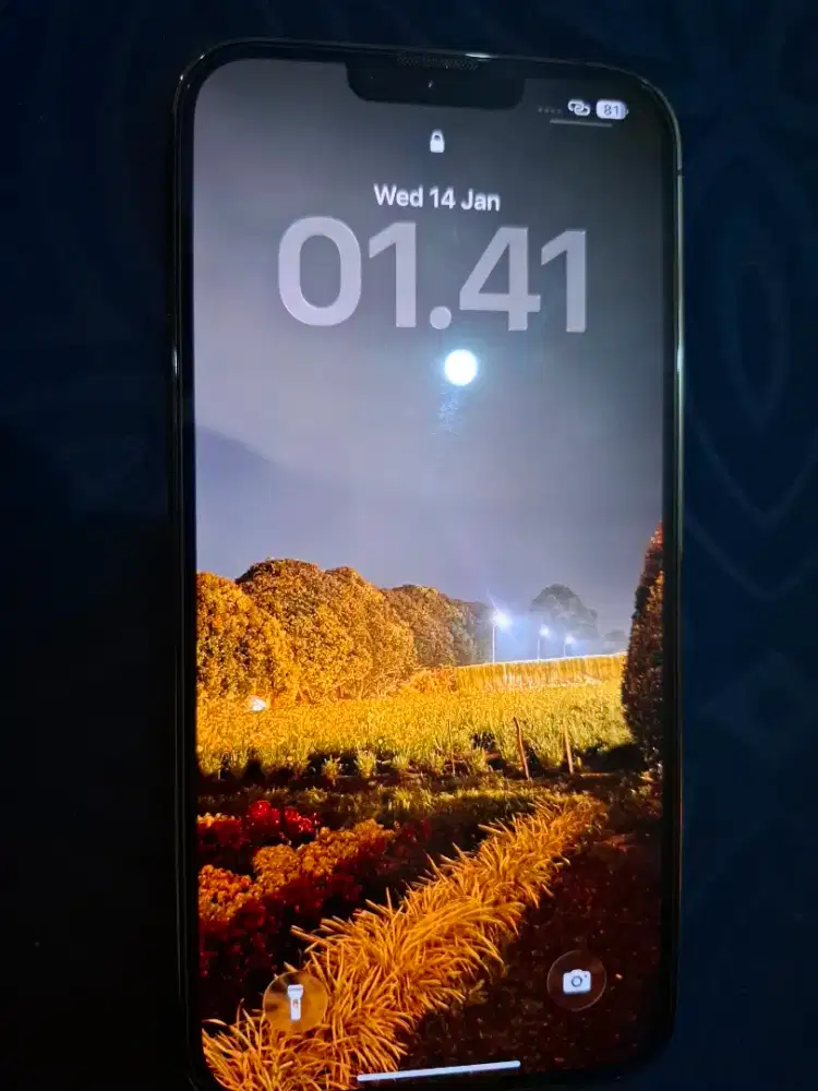 Apple 13 Promax ex ibox full set Pro Max