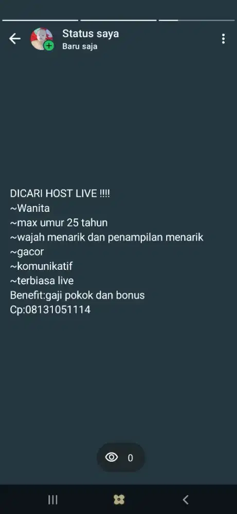 Host live streaming