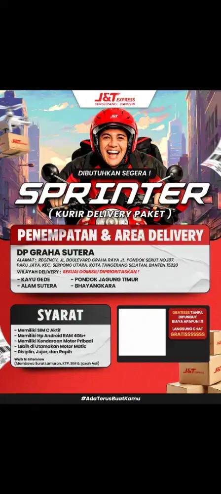 SPRINTER DELIVERY PAKET