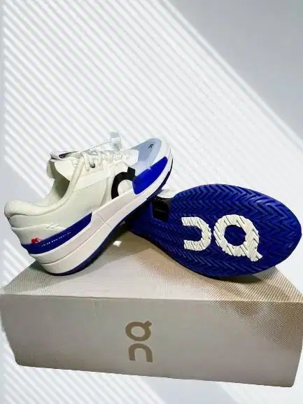 OnCloud The Roger Pro 2