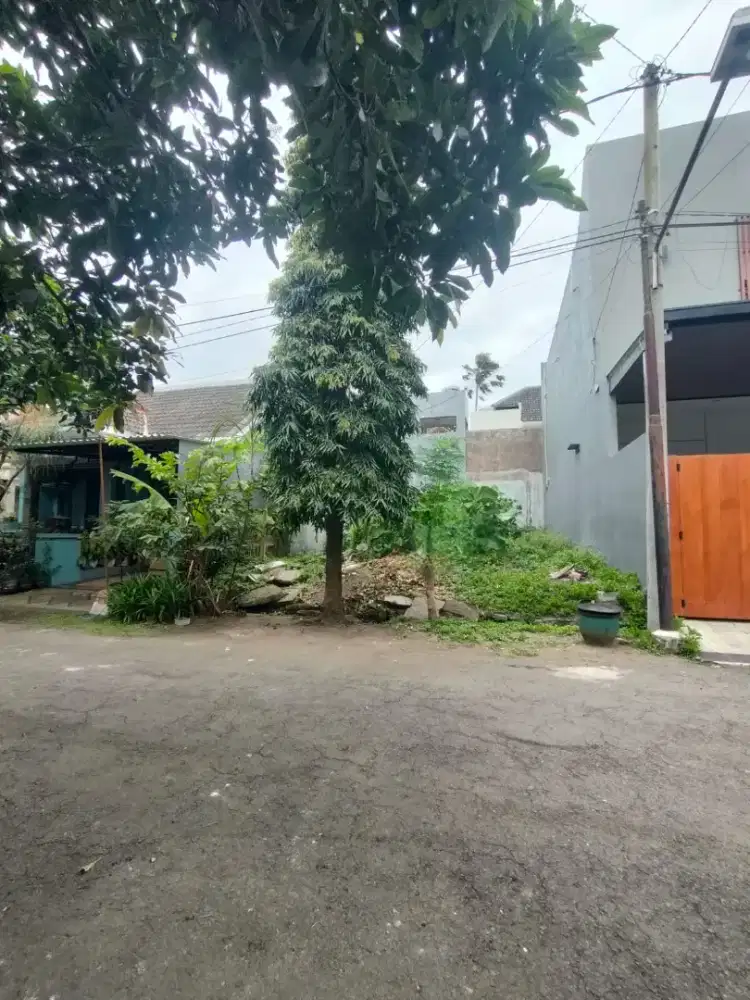 Termurah Tanah Bumi Palapa Saxophone Tanah Kost Tanah Kavling