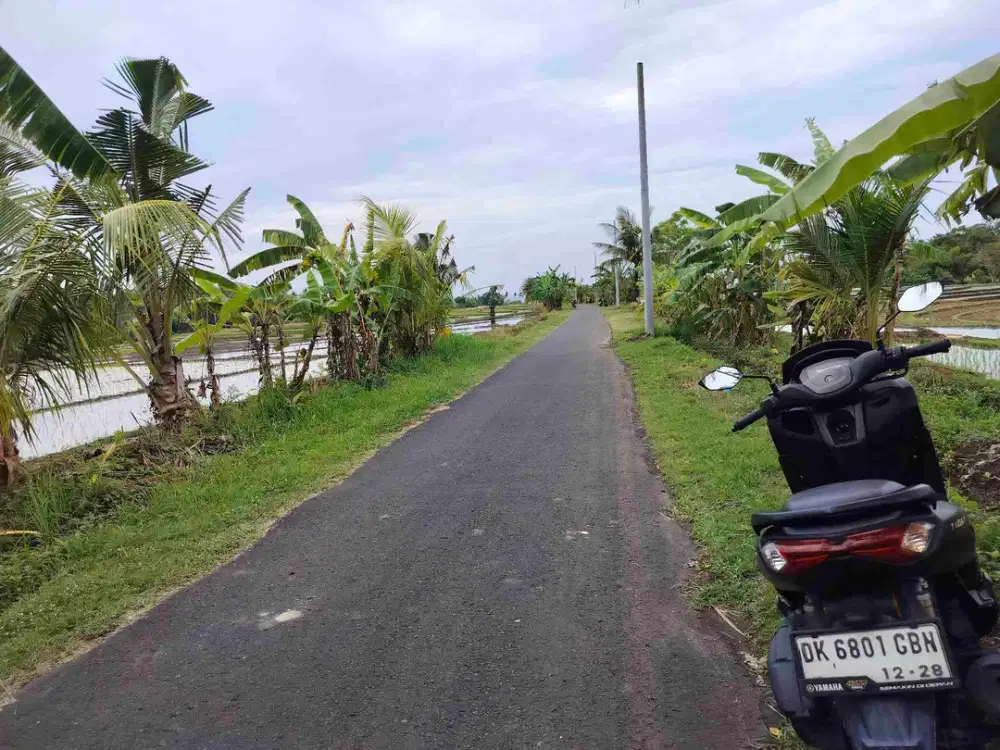 jual tanah dekat pantai .400 mtr dri pantai lt 33 are harga 165/ are