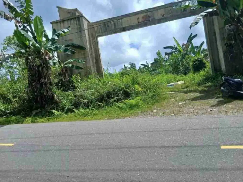 Jual Tanah 8 Hektar di Kab.Sorong