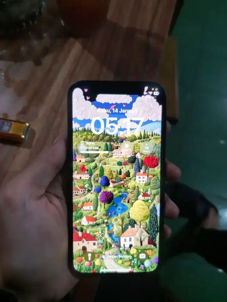 iPhone 12 mini 64 GB wifi only