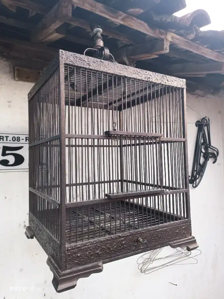 Sangkar burung pleci