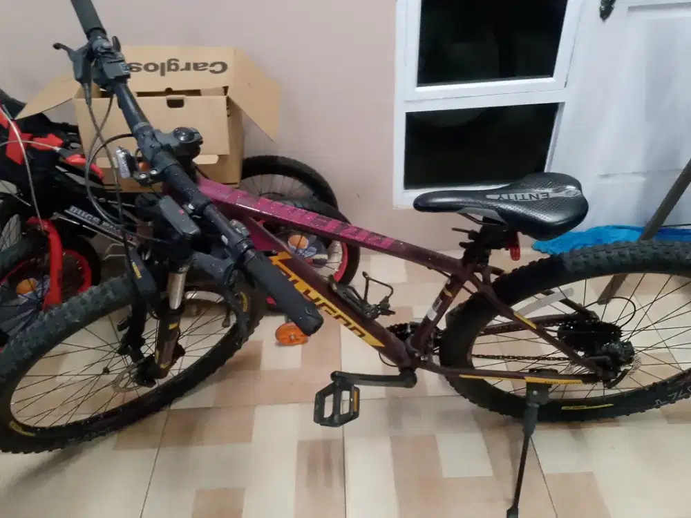 Polygon Premier 4 (2020)