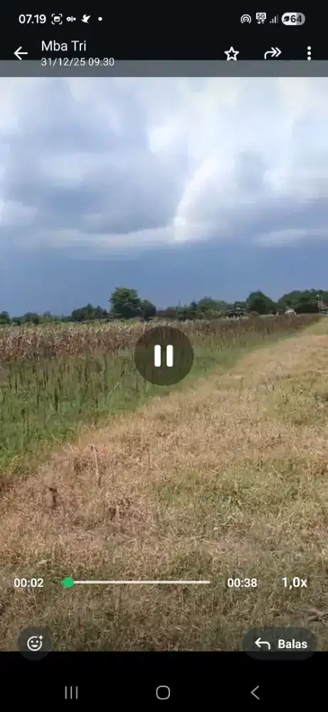 [NEGO] DIJUAL CEPAT SAWAH TANAH DATAR