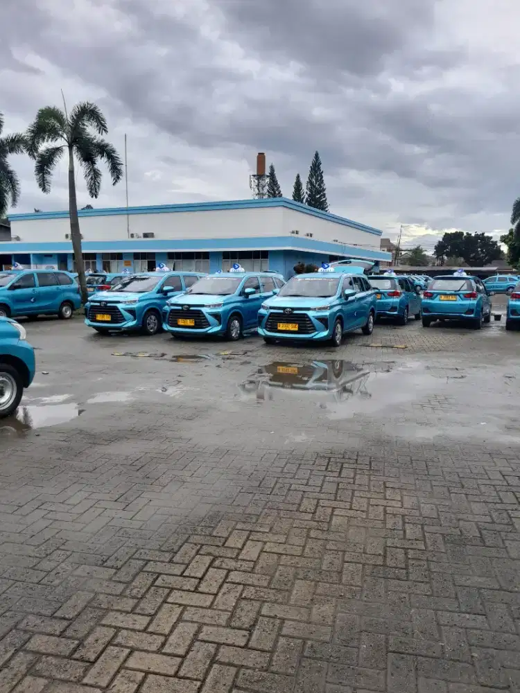 Di butuhkan segera driver