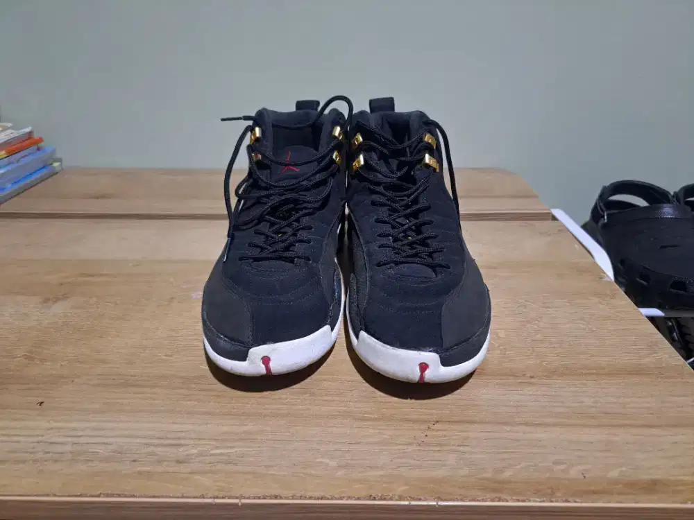 Sepatu Nike Air Jordan AJ12