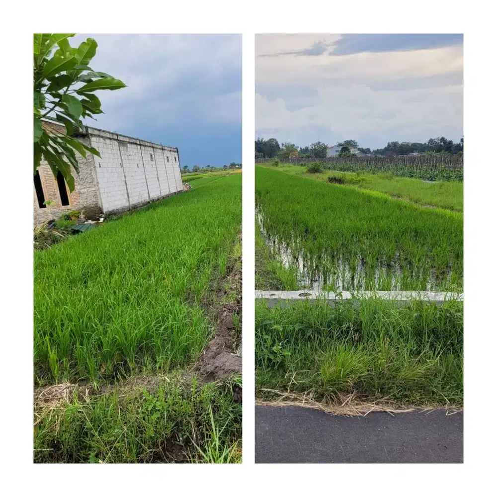 Tanah Strategis di Kateguhan Sawit Boyolali