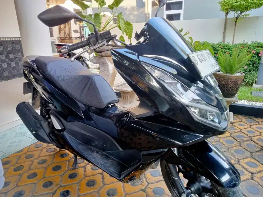 BLACK PCX 2023 Grass