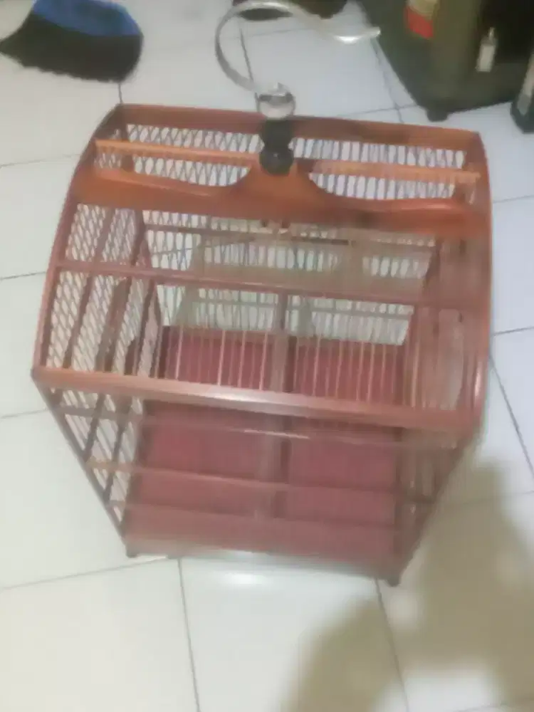 Kandang kotak no.2 kekar dan mulus