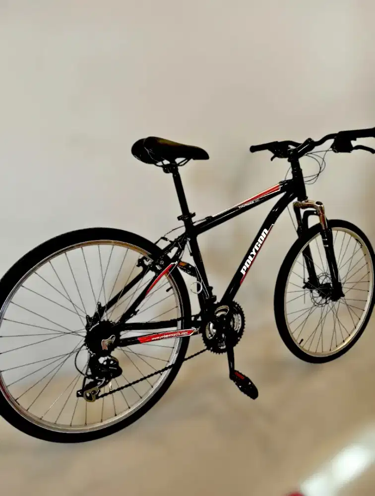 Sepeda MTB Polygon Thunder-300 Size 26 Original Mulus