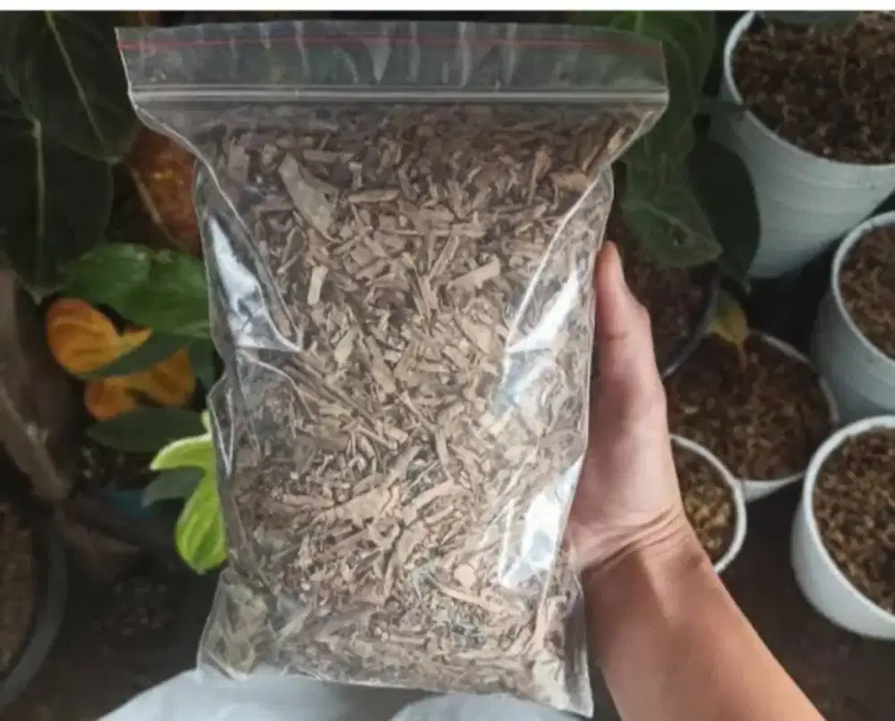 Pupuk daun bambu siap pakai untuk campuran media tanam,