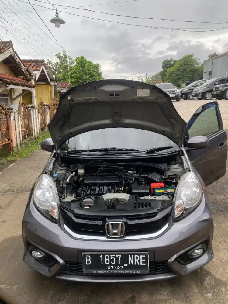 Brio e Satya 2017 manual