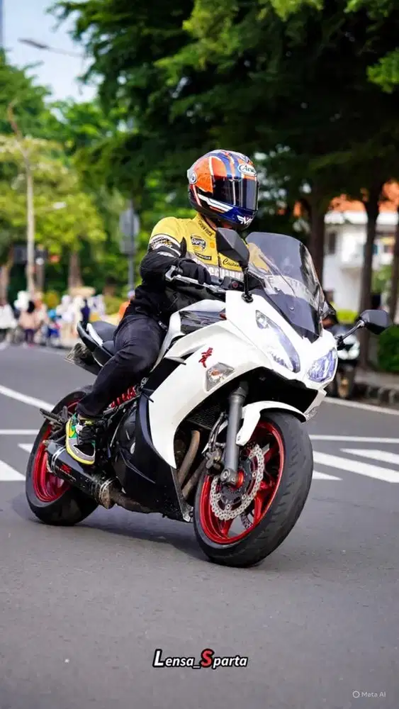 Kawasaki ER6F Modif Carbon