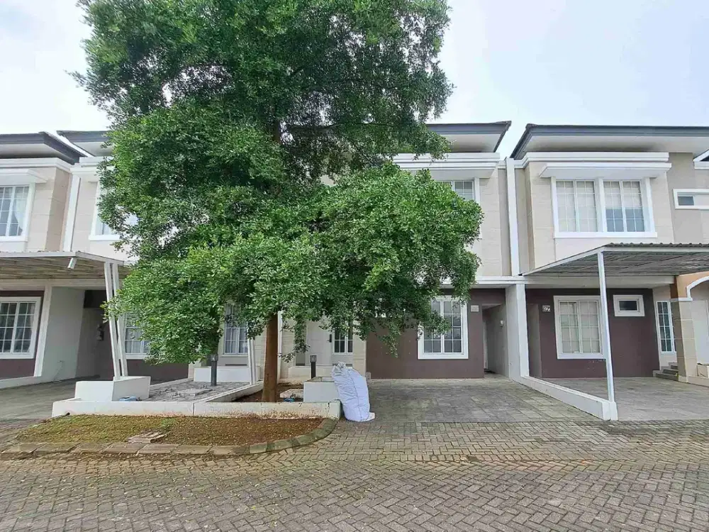 Rumah area tanjung bunga dekat mall pipo