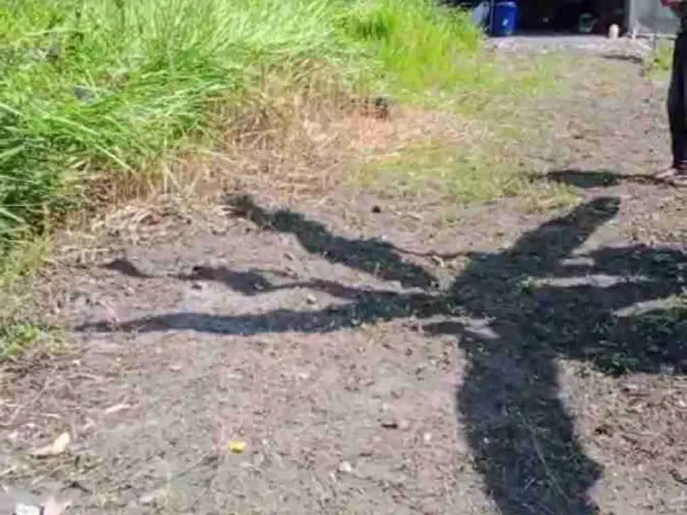 DIJUAL TANAH 80JT di TAMBAKAN, JOGONALAN