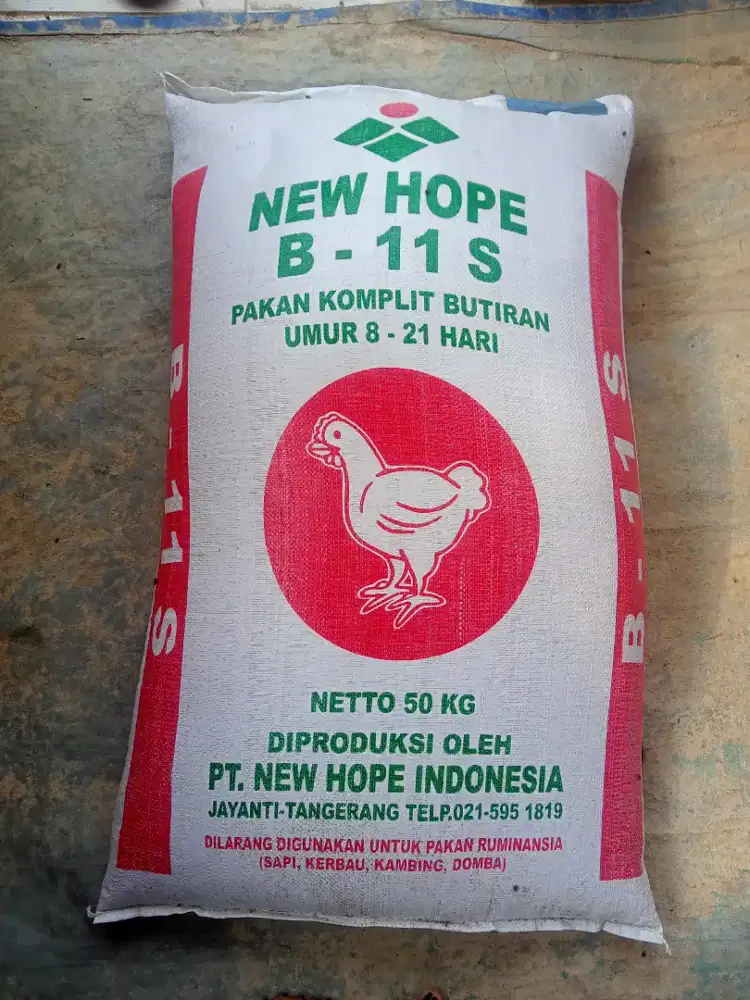 PAKAN AYAM MURAH