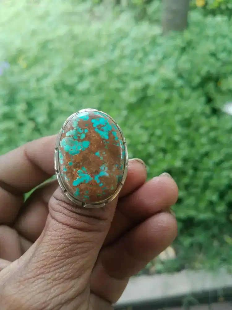 Pirus persia dan hubei