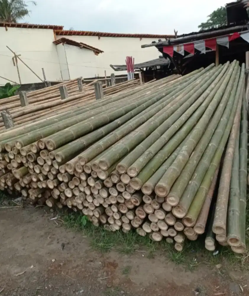 jual bambu untuk proyek