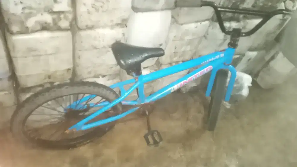 Sepeda anak second jual seadanya