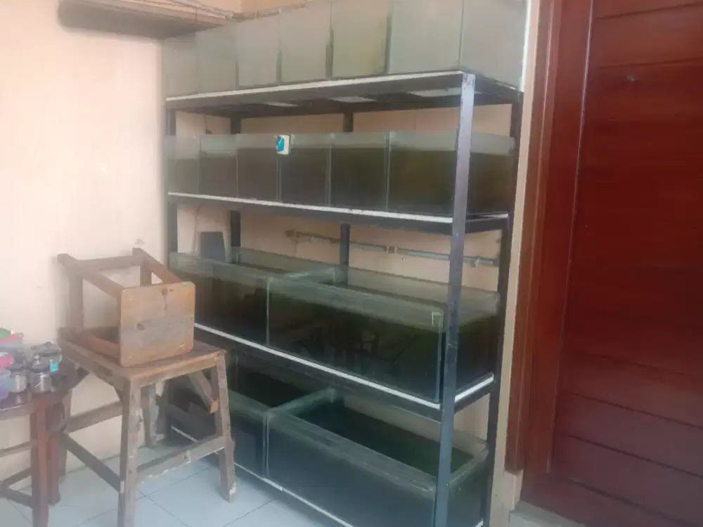 Aquarium beserta raknya