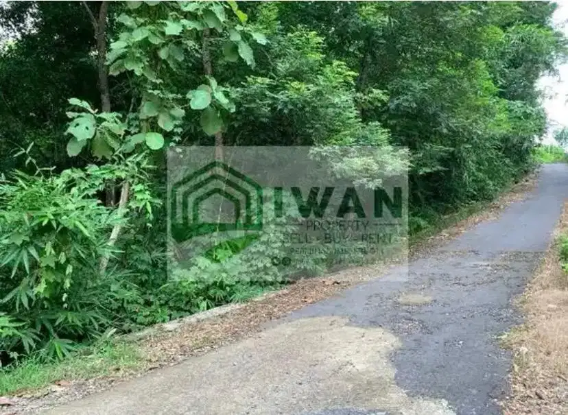 Tanah Kering Luas & Murah Hadap Jalan Lebar Ada Aliran Air