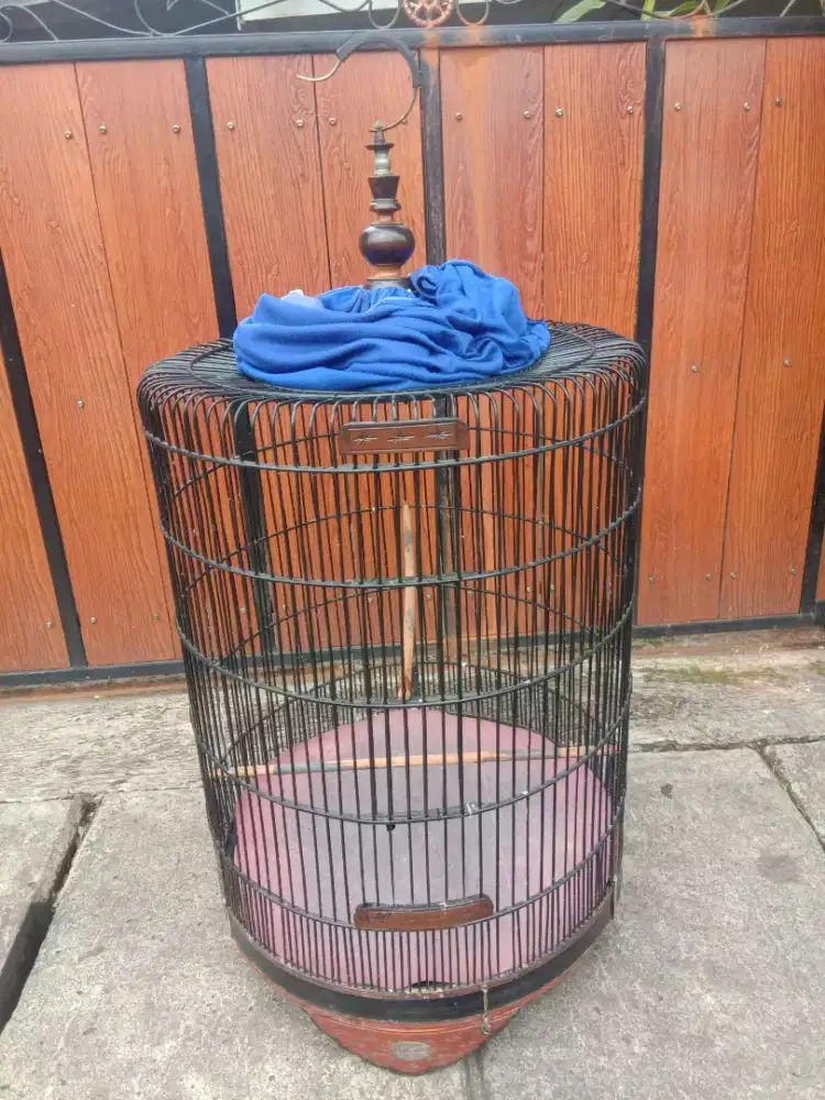 Kandang murai no 1 layak pake