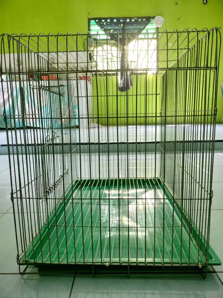 Kandang kucing/anabul