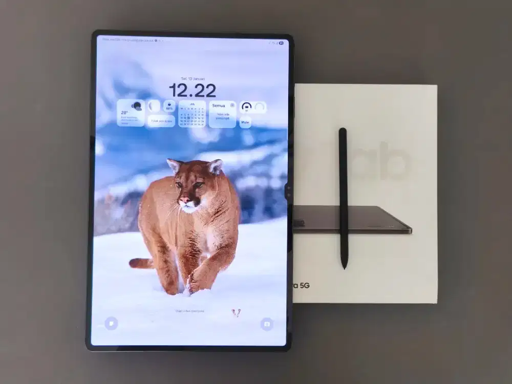 Samsung Galaxy Tab S8 Ultra 5G 12/256 X906 - Fullset, Ex Garansi Resmi