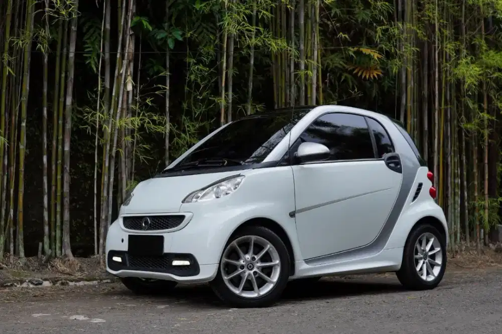 Smart Fortwo Passion Coupe 2013/2014 (D)