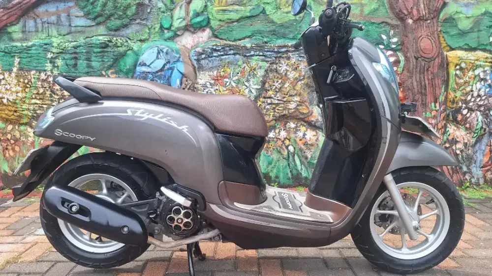 Honda Scoopy Stylish