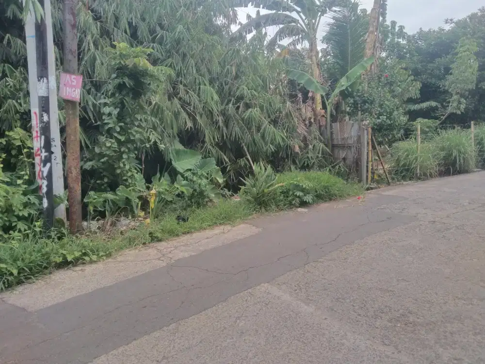 dijual cepat tanah kosong produktip