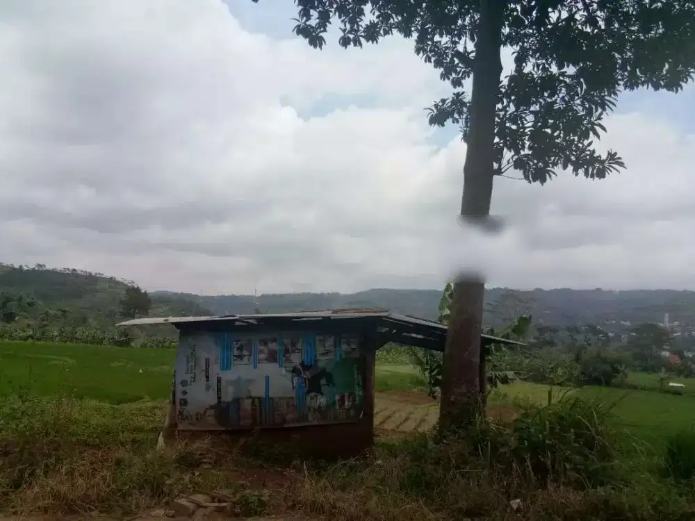 Tanah di CIBURUY PADALARANG (Jl. Langkop)