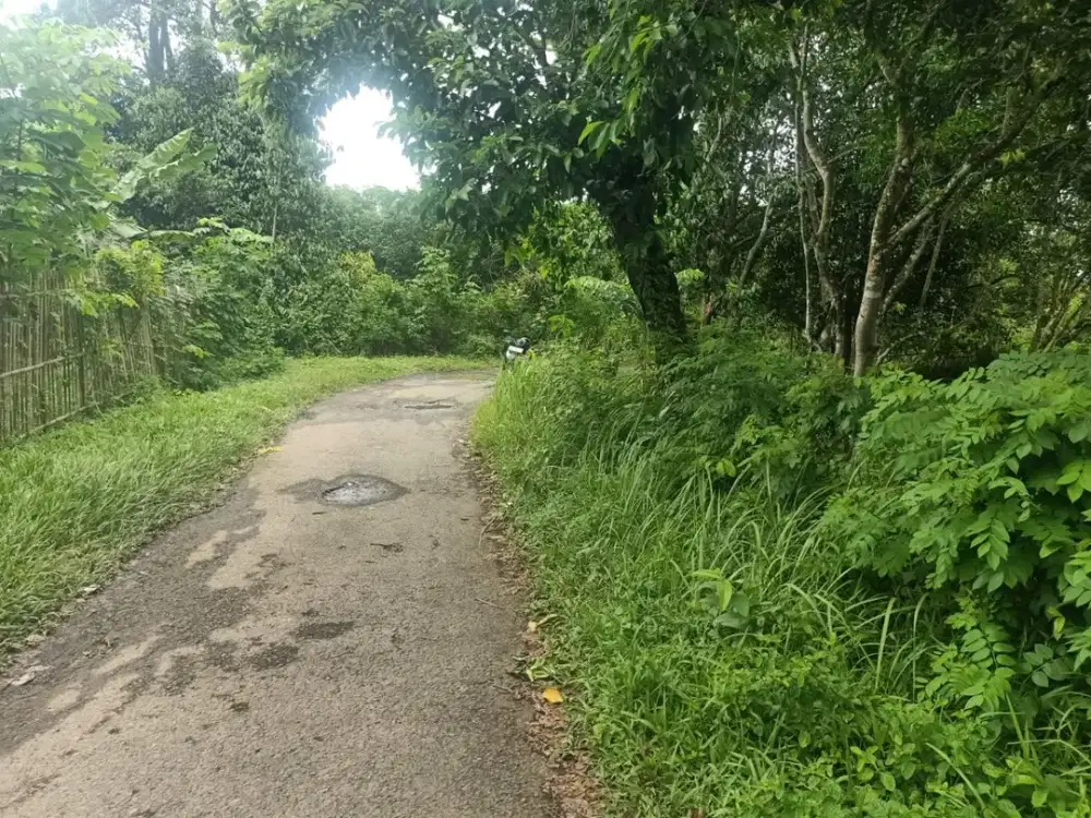 Tanah pinggir jalan kampung deket perumahan