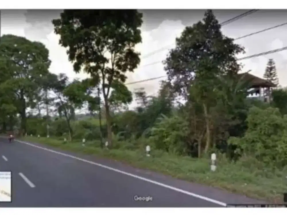 Tanah di Pinggir Jalan Nasional arah Cipanas Puncak