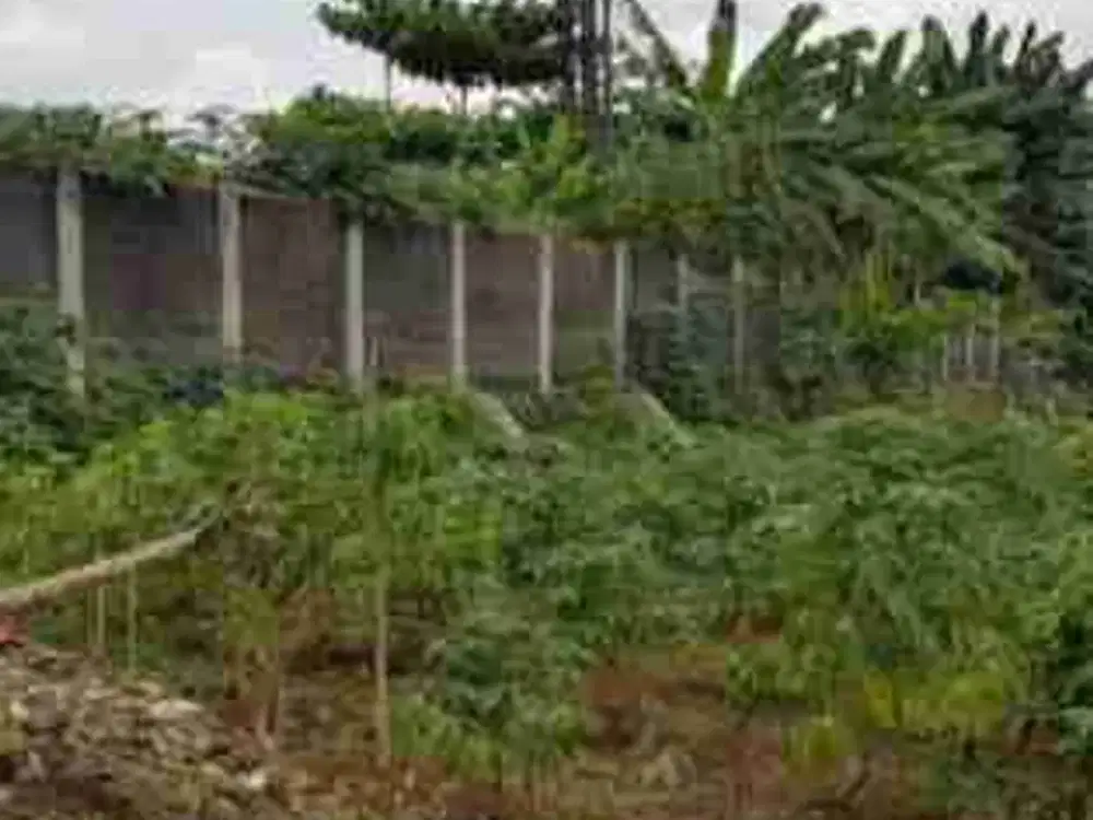 Tanah Luas 3,2 Ha Dekat Akses Tol di Krukut Depok