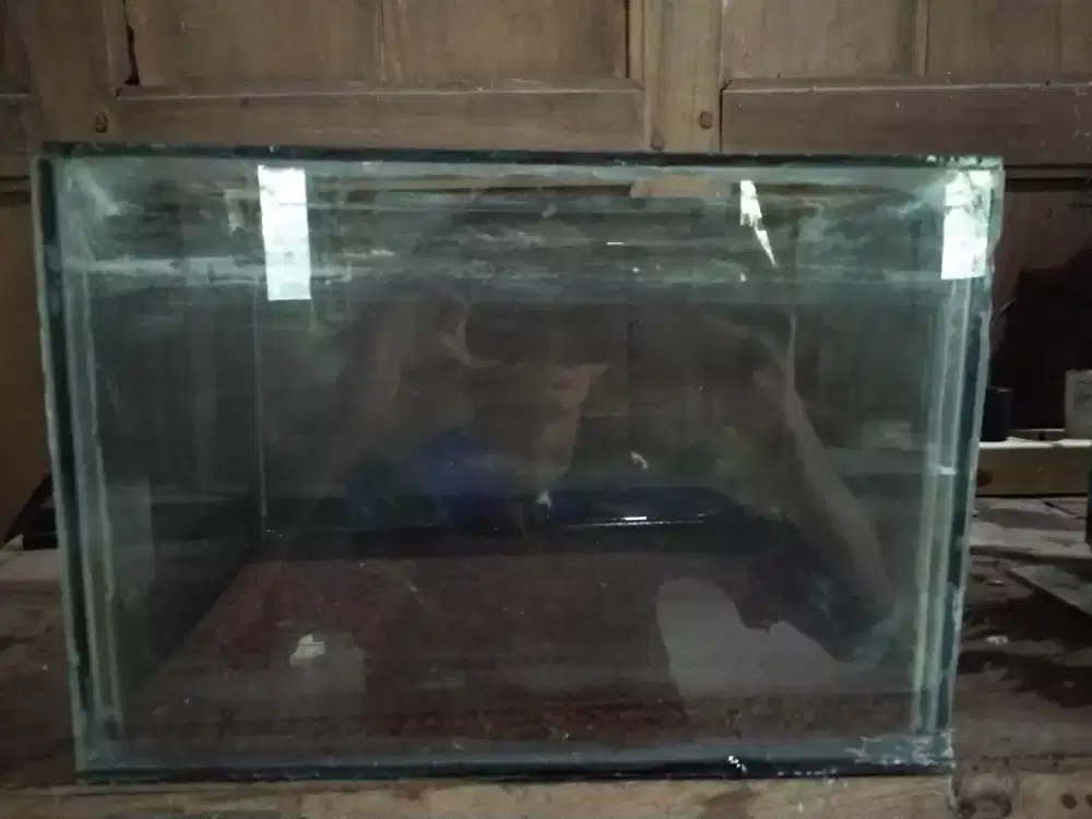 DIJUAL PAKET AQUARIUM LENGKAP TINGGAL PAJANG