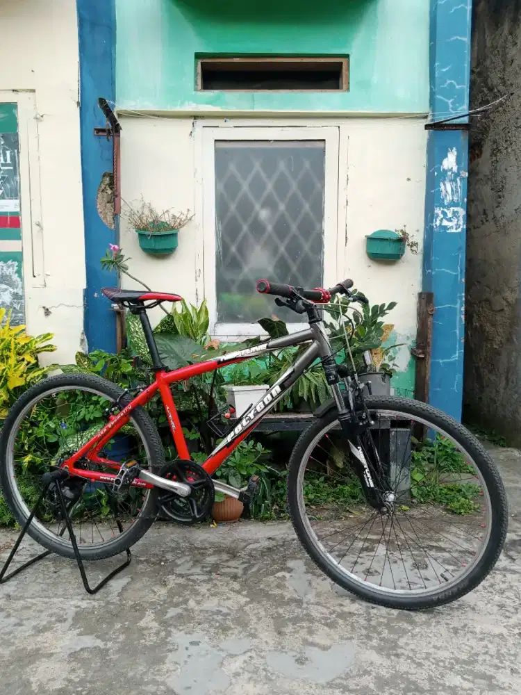 Sepedah Polygon NEPTUNE uk26