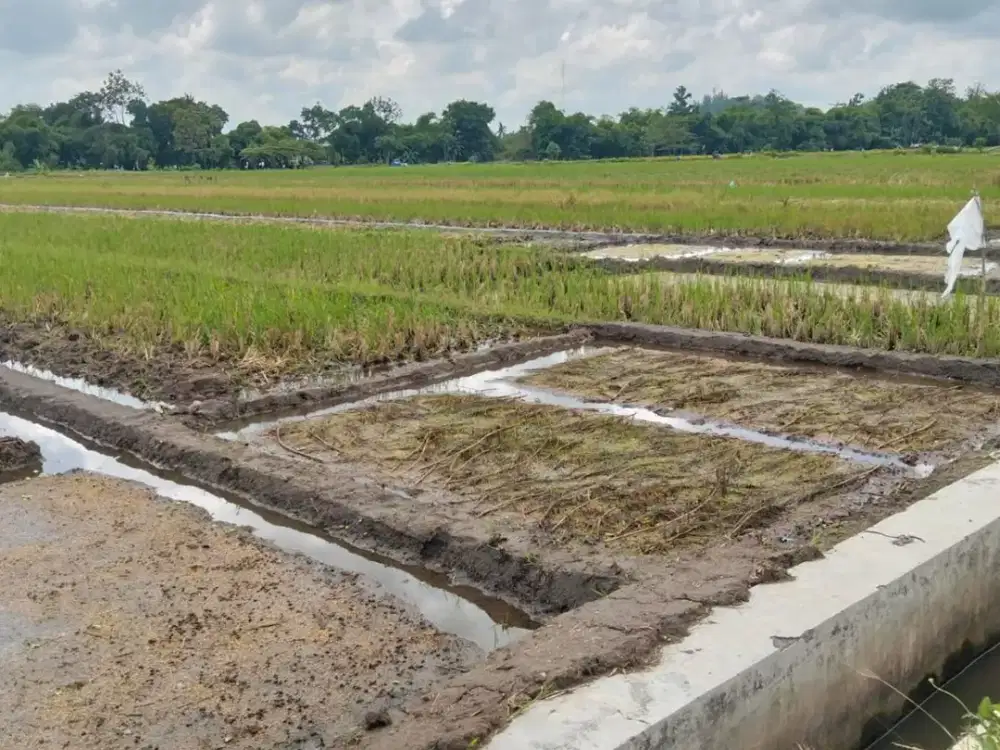 JUAL SAWAH MURAH DI AMBARKETAWANG GAMPING