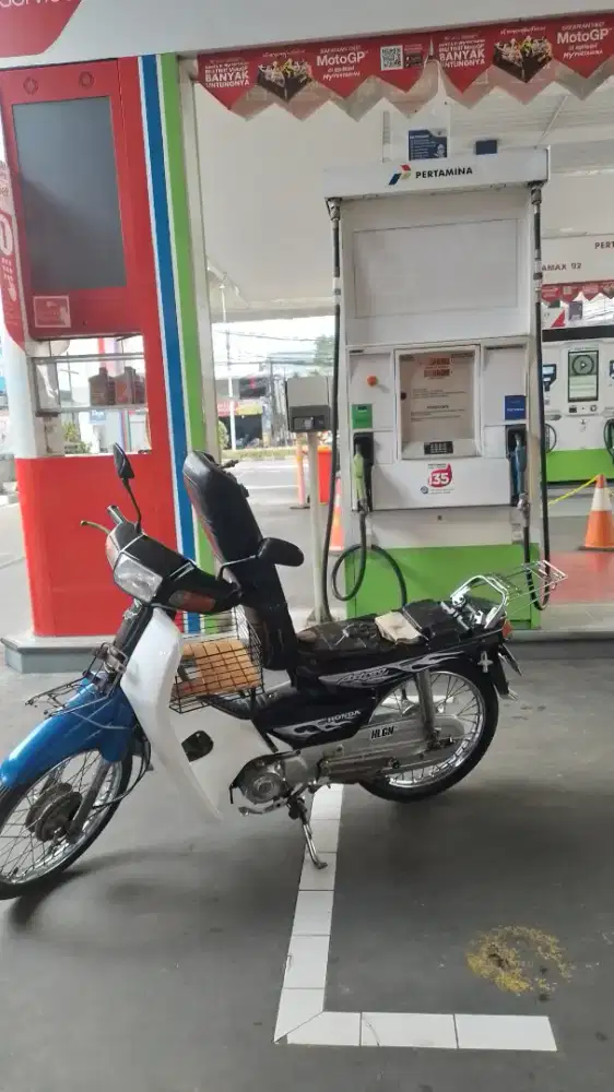 Astrea grand bulus asli