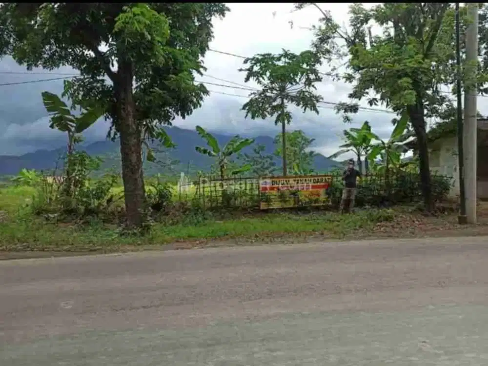 tanah +6ha tanjungsari - Cariu - bogor